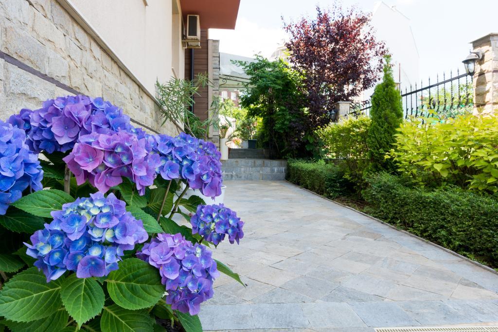 Siena House Hotel Sozopol Bagian luar foto